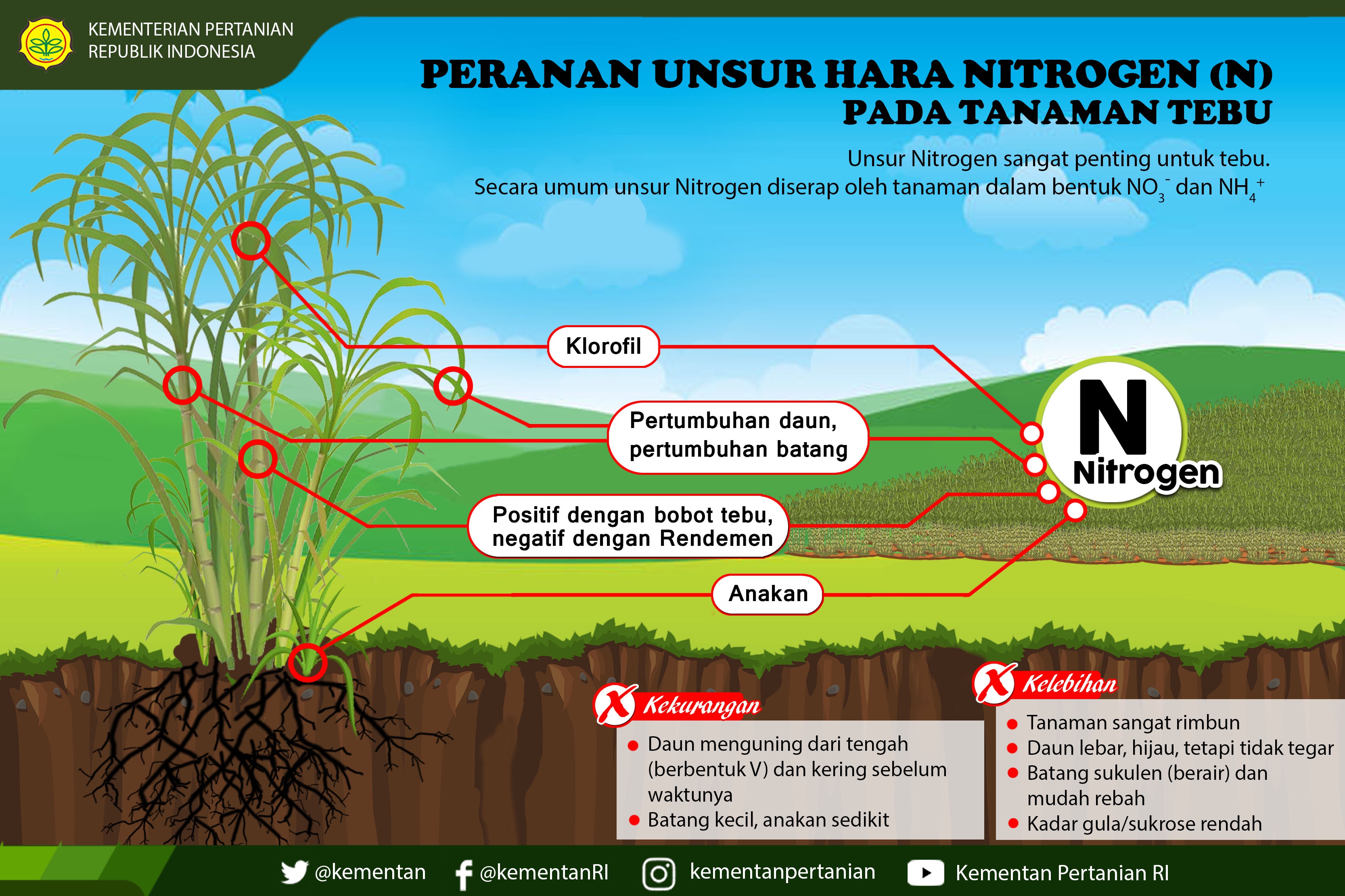 Bagaimana menggunakan pupuk NPK yang baik pada tanaman durian? - Quora