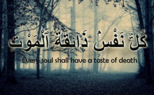 Seperti apa konsep takdir dalam agama Islam? - Quora