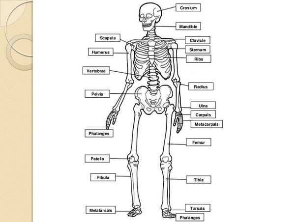 By luke edwards, claire davies buying guide this yea. I want to study to become an EMT. What should I study at home on my own while I wait for classes