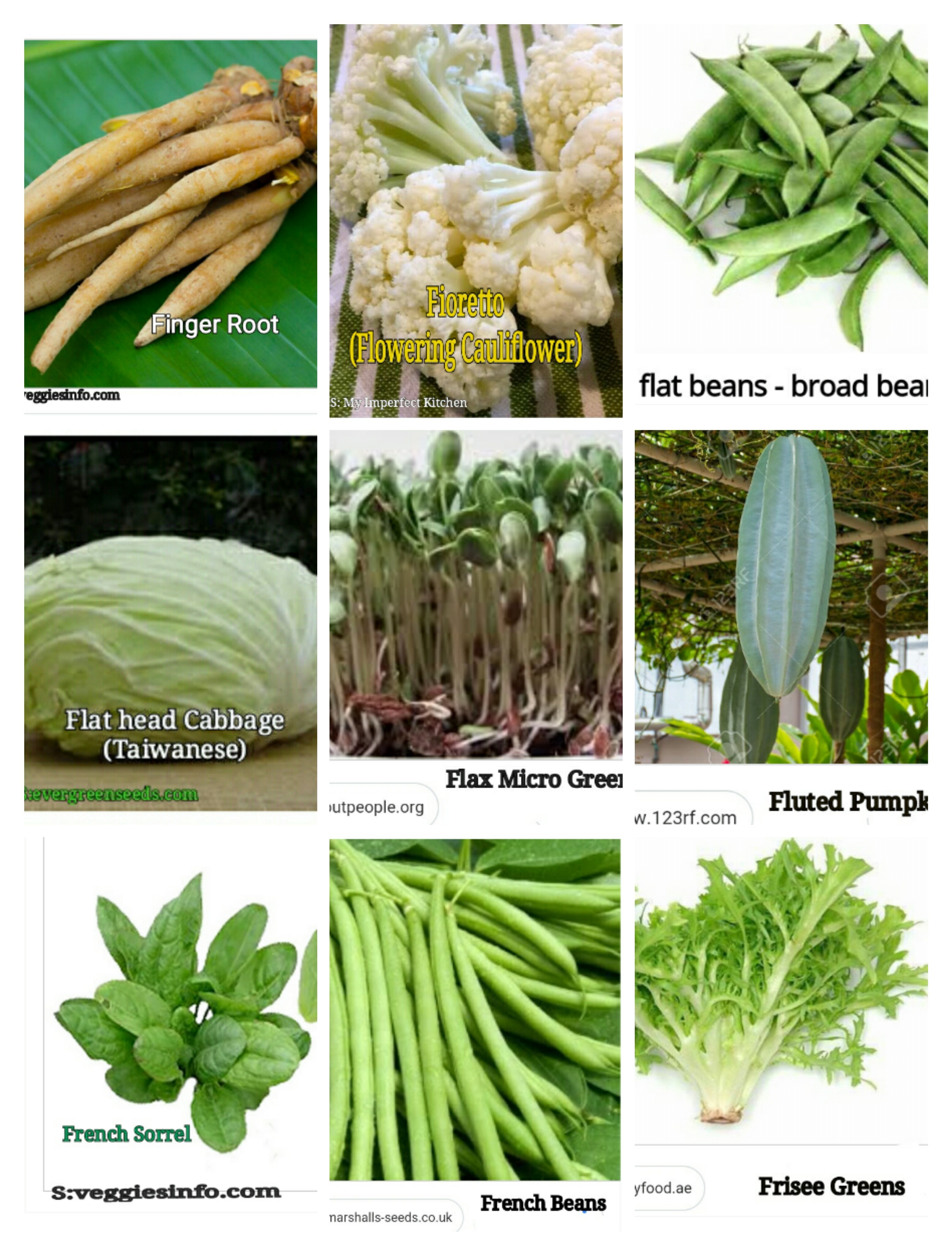 Apa saja buah dan sayuran yang dimulai dengan huruf f? - Quora