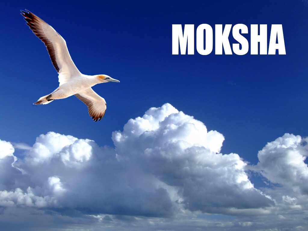 Mengapa seseorang harus mencapai moksha? - Quora