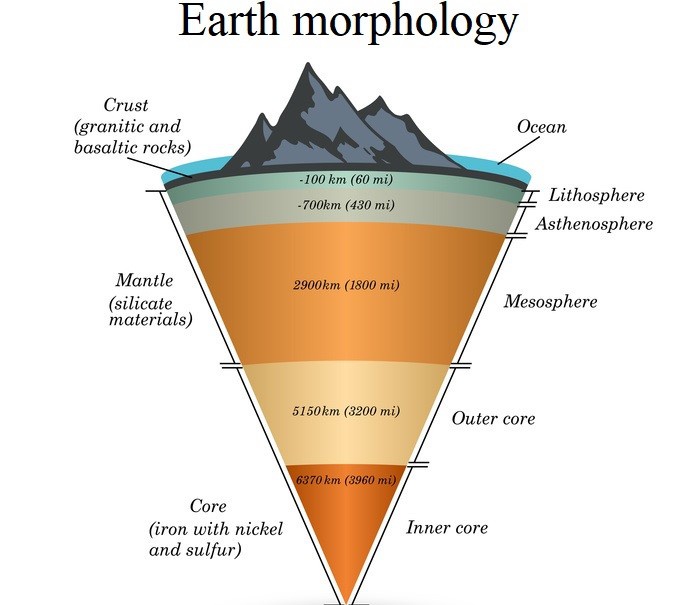 Apa itu morfologi? - Quora