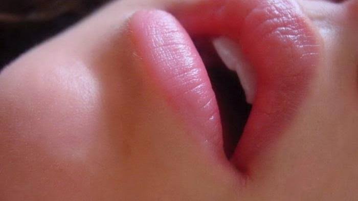 Apa arti &lsquo;bibir ranum&rsquo;? - Quora