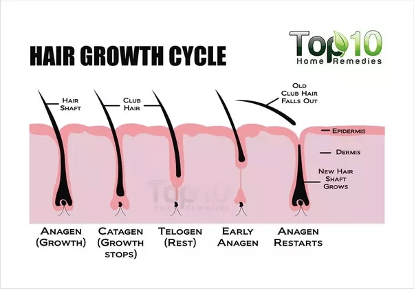 Best product for facial hair growth treatment. Does heat stimulate hair growth? - Quora