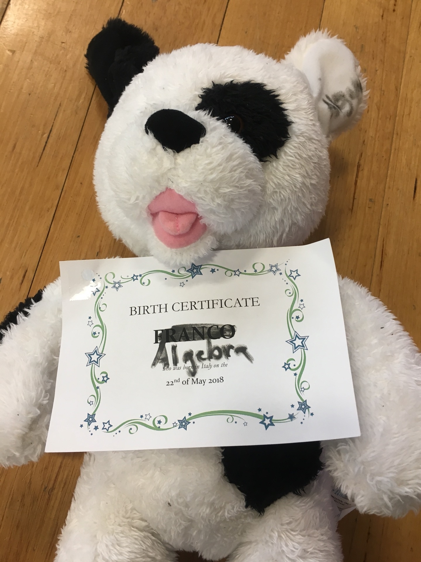 Is It Perfectly Acceptable For Someone To Continue To Sleep With Stuffed Animals Well Into Their Twenties And Thirties Or Do You Think They Have Issues Quora