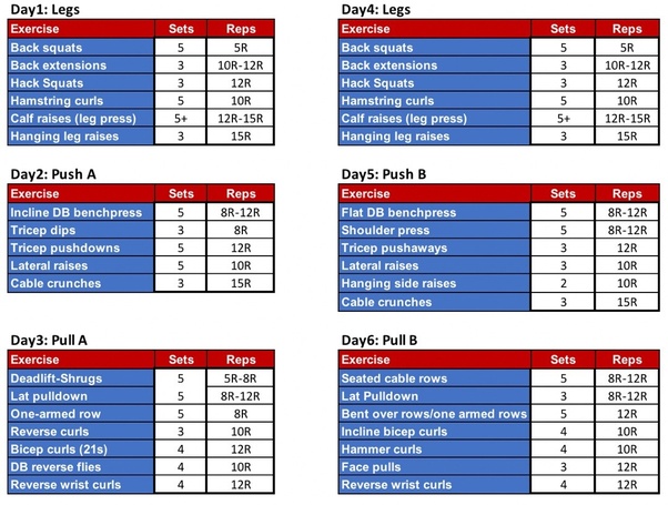 (you can if you&#x27;re a psycho, but that&#x27;s on you.) instead, do all three main push, pull, and leg days shown here and add two pump days. Push Pull Legs Workout Routine For Beginners | Workoutwaper.co