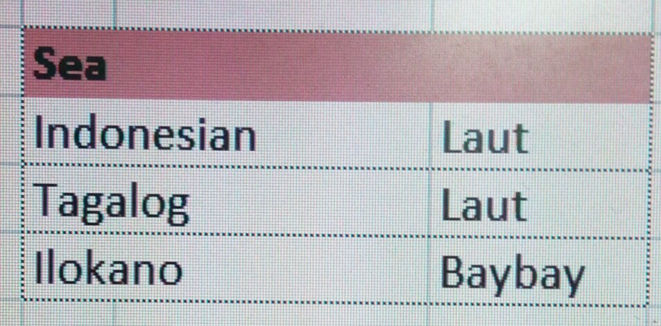 What do Filipinos think about Indonesians, and Bahasa Indonesia? - Quora