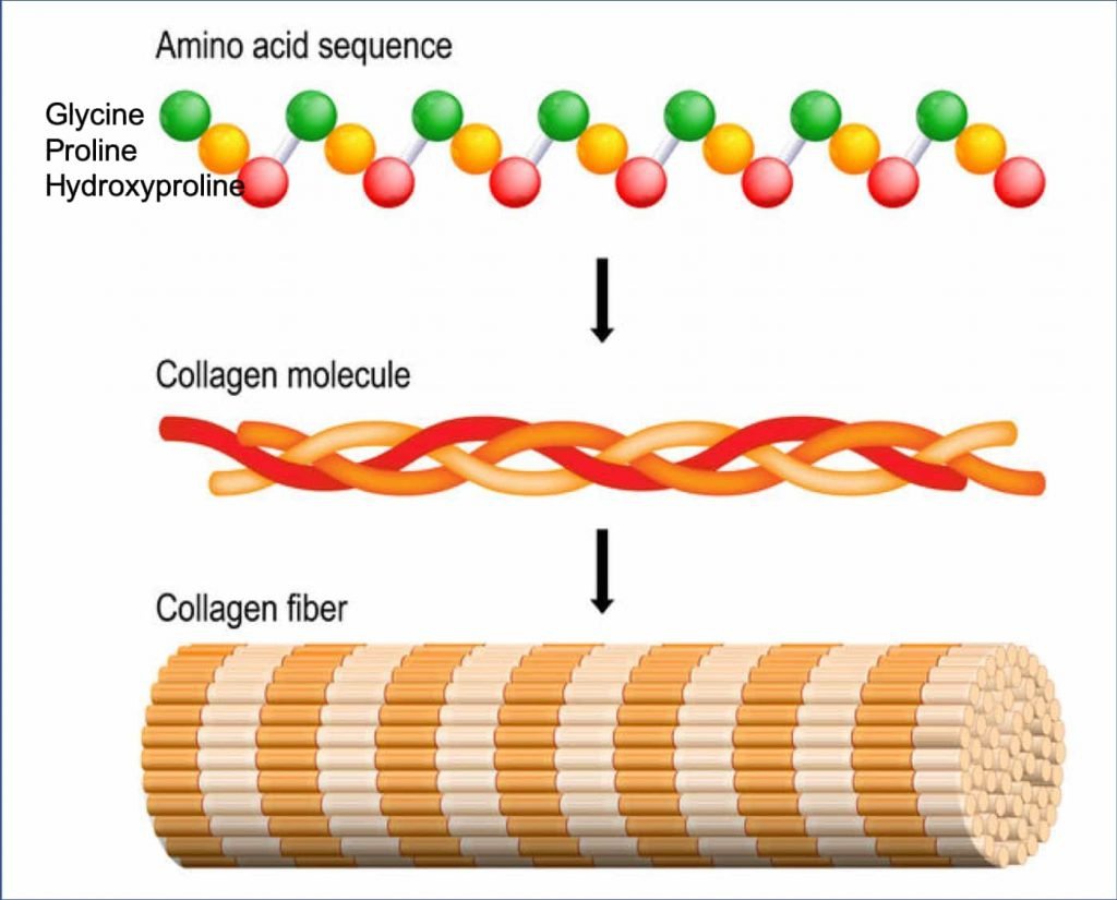 Apa manfaat mengonsumsi glisin setiap hari? - Quora