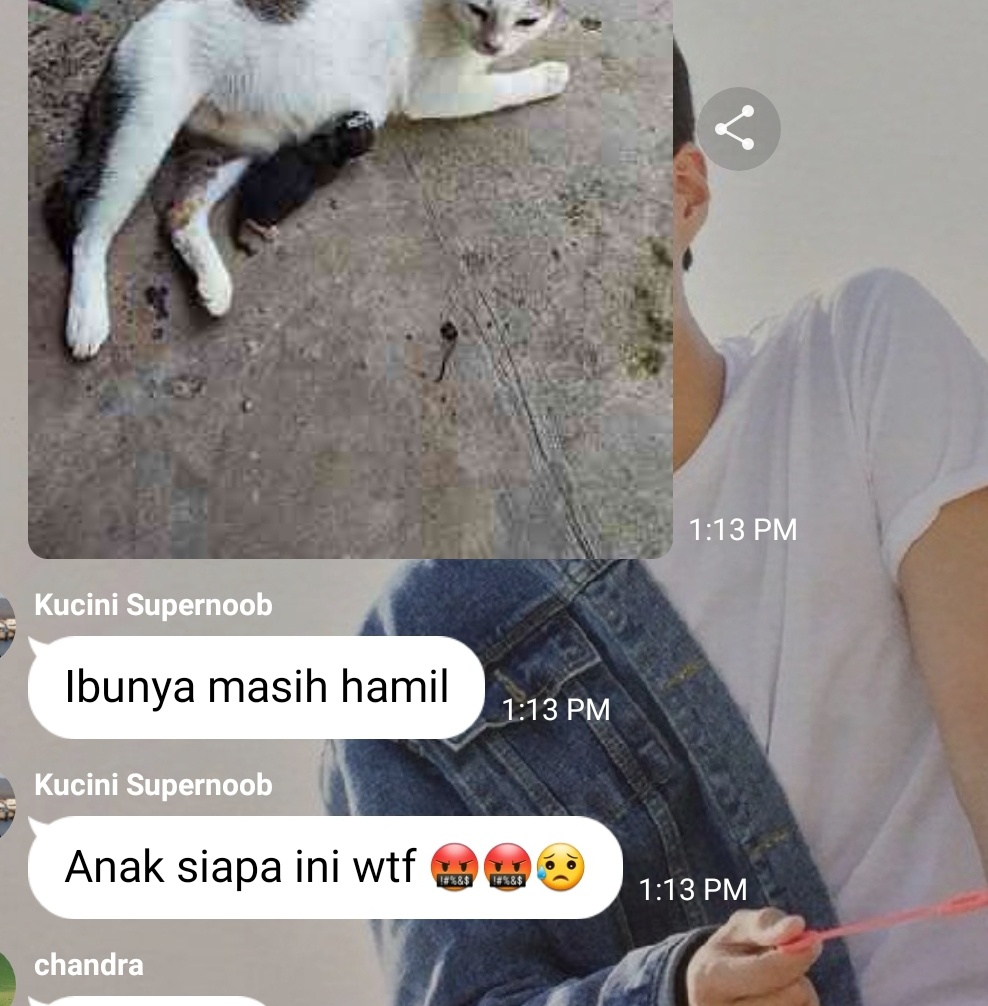 Apa saja dampak pergaulan bebas pada masyarakat luas? - Quora