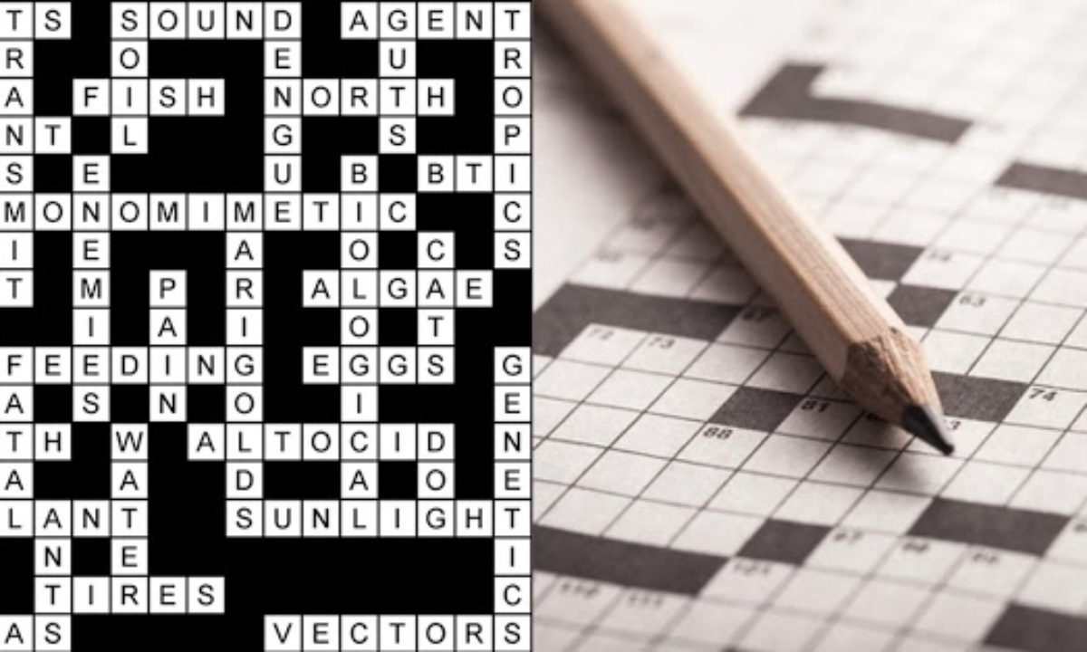 Bagaimana ingatan disimpan dan diambil? - Quora