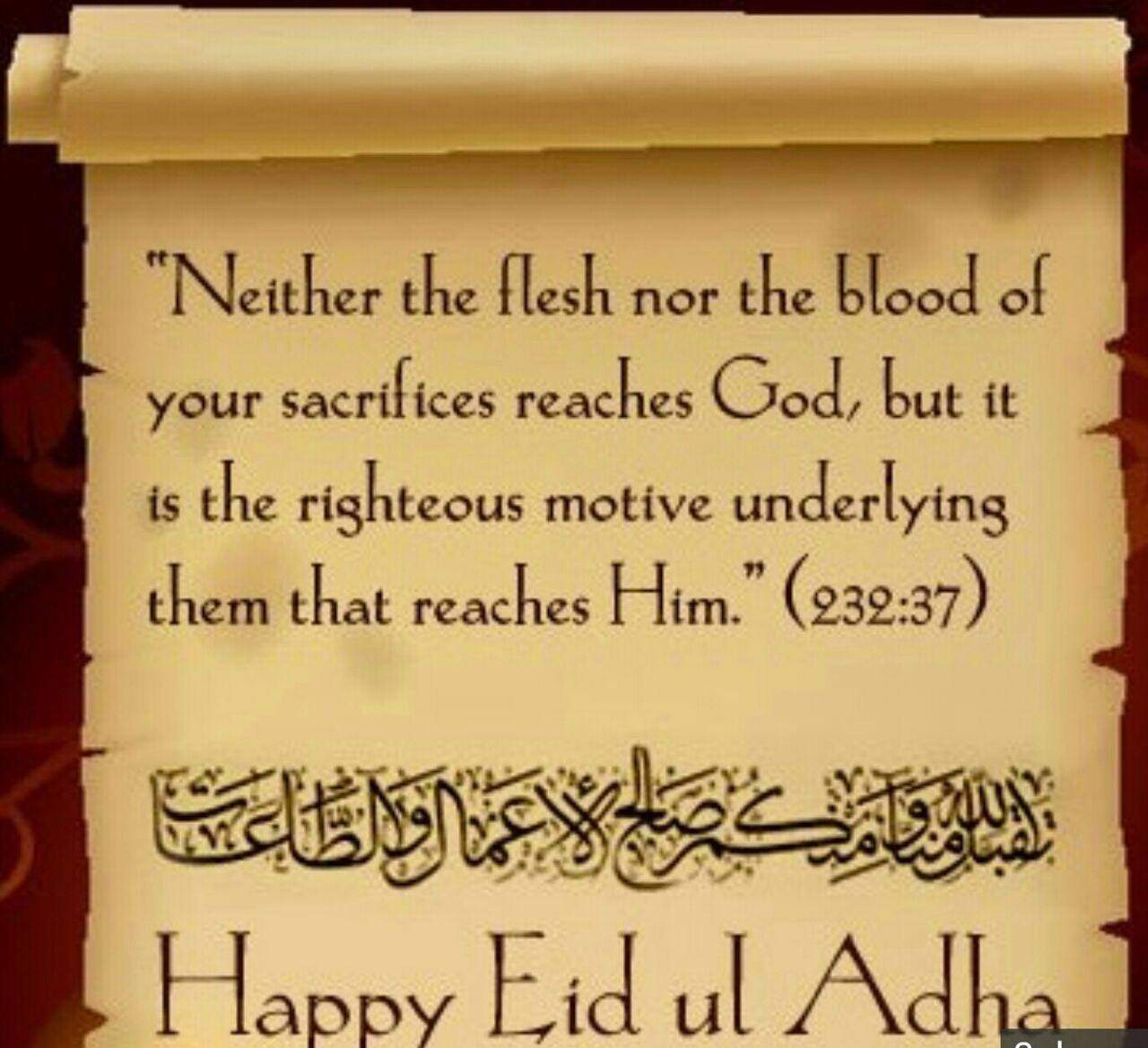 Sebagai seorang Muslim apakah saya bisa merayakan bakra idul fitri  menggunakan bunga dan bukan dengan membunuh kambing/domba atau hewan  apapun? - Quora