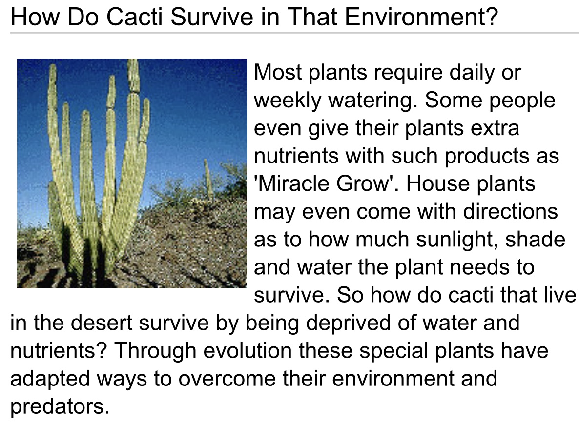 How a cactus is adapted to live in the desert? How Do Cacti Transport Materials In Their Body Quora