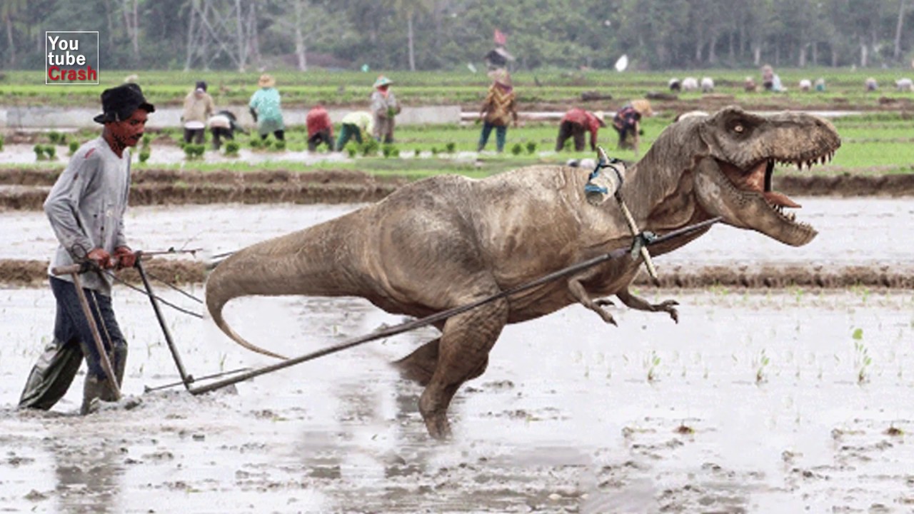 Seandainya dinosaurus tidak punah, apa yang akan terjadi? - Quora