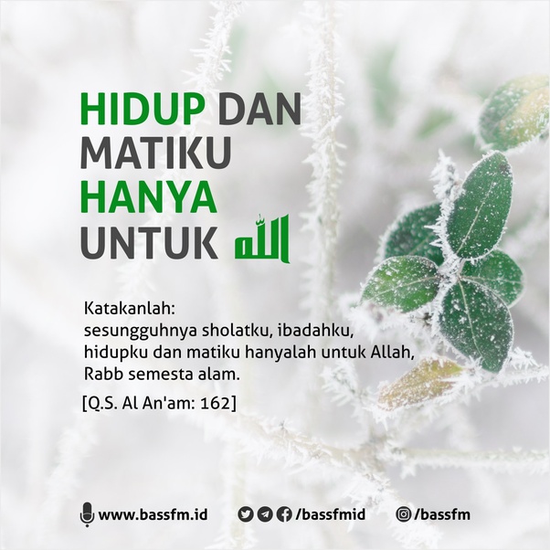 Merupakan sebuah bicara mengenai hakikat hidup sementara di dunia ini. Untuk Siapa Kamu Hidup Saat Ini Quora