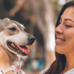 Pet Insurance That Covers Grooming