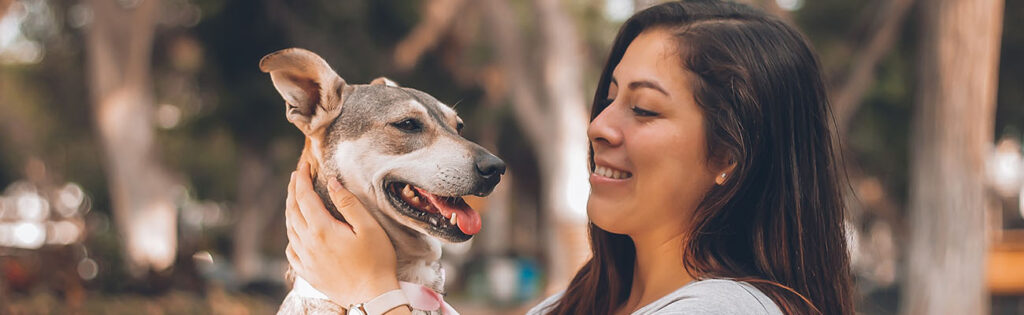 Pet Insurance That Covers Everything
