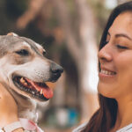 Pet Insurance That Covers Everything