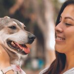 Costco Pet Insurance Review | LendEDU