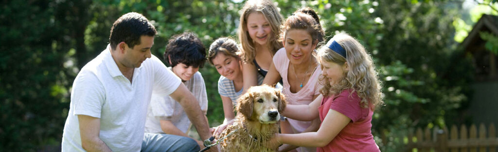 Bivvy Pet Insurance Review | LendEDU Bivvy Pet Insurance Review | LendEDU