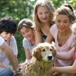 Bivvy Pet Insurance Review | LendEDU Bivvy Pet Insurance Review | LendEDU