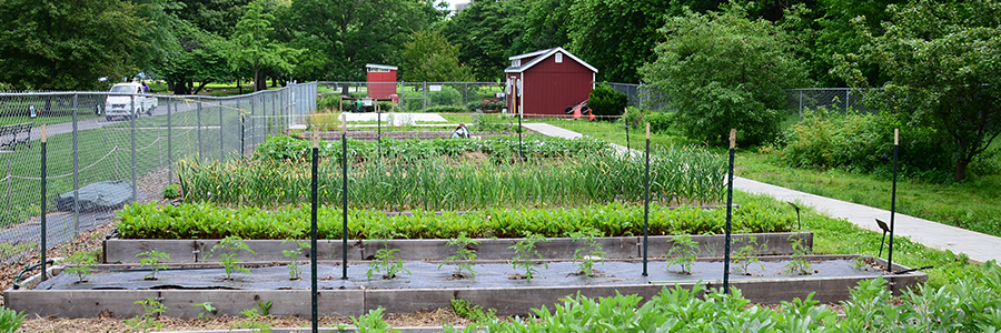 Queens county farm museum is one of the longest continually farmed sites in new york state. Watercolor Workshop On The Farm Queens Botanical Garden