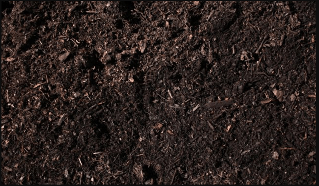 Oleh karena itu, tingkat kematangan gambut merupakan karakteristik fisik tanah gambut yang menjadi faktor penentu kesesuaian gambut untuk pengembangan pertanian . Tanah Humus Pengertian Proses Ciri Jenis Dan Manfaat