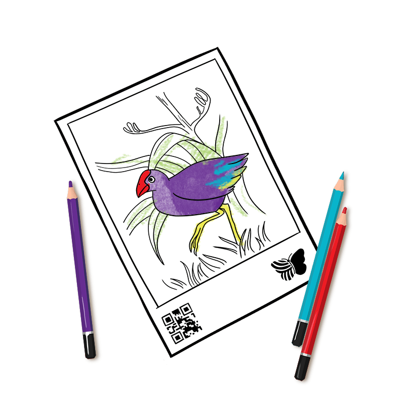 Quivervision Quiver Dibujos Para Imprimir Gratis Quiver Vision 2 