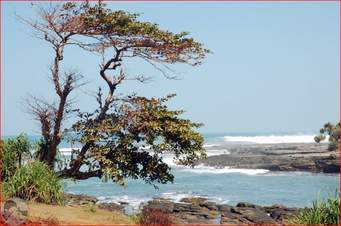 KEHATI | Other Quiz - Quizizz