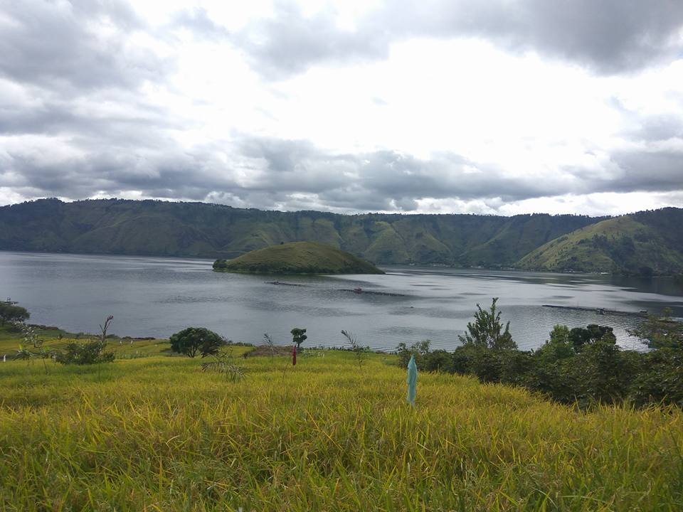 IPS Kelas 4 Tema 9 Subtema 1 | Social Studies - Quizizz