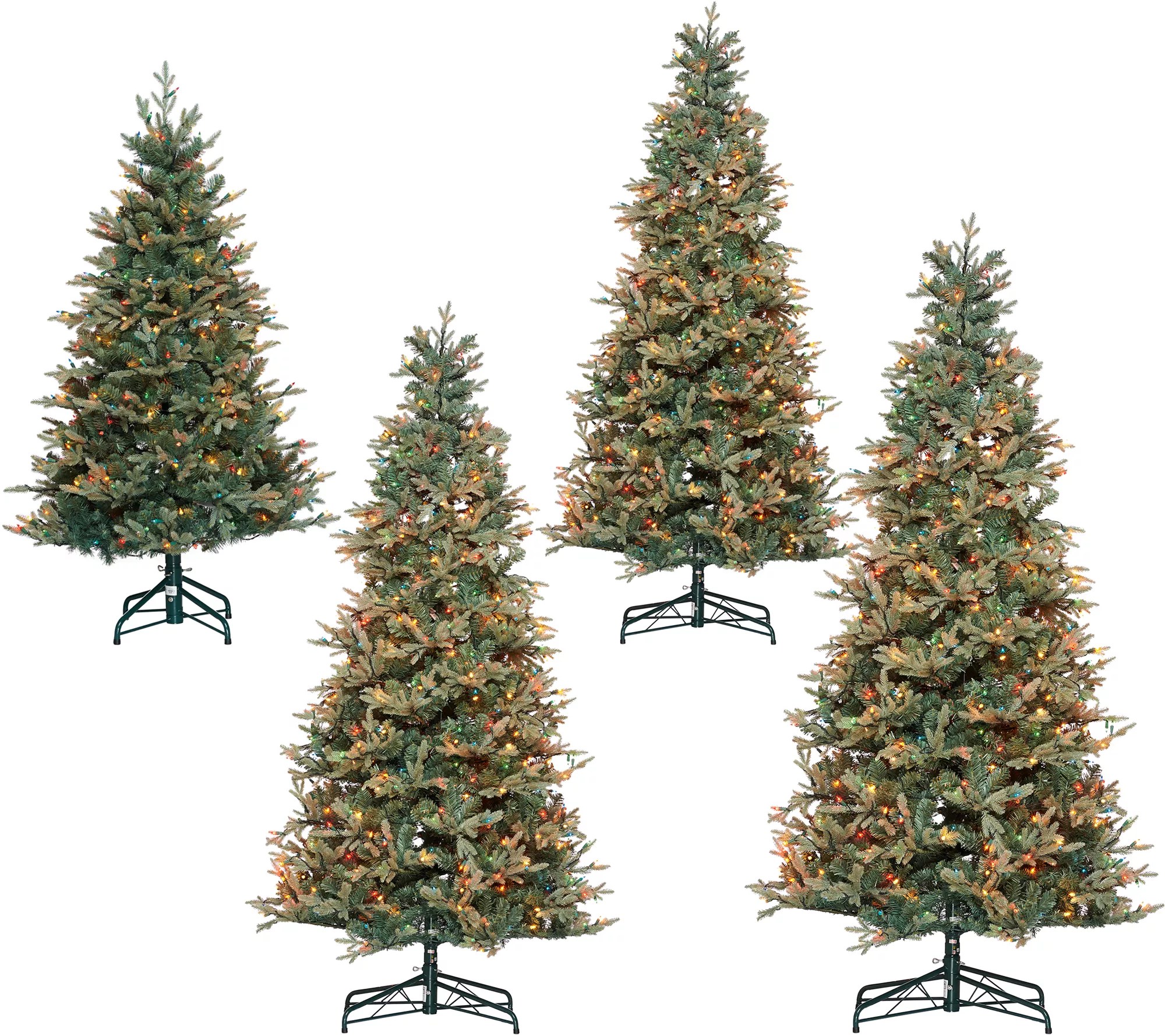 We earn a commission for products purchased through some links in this article. Bethlehem Lights Prelit Blue Spruce Christmas Tree Qvc Com