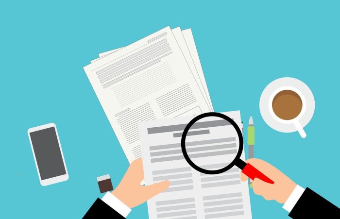 Pic artinya dalam bahasa indonesia