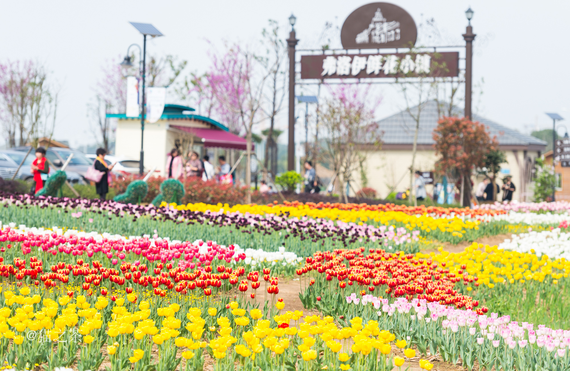 繁花似錦 到武漢花博彙感受春的氣息 Getit01