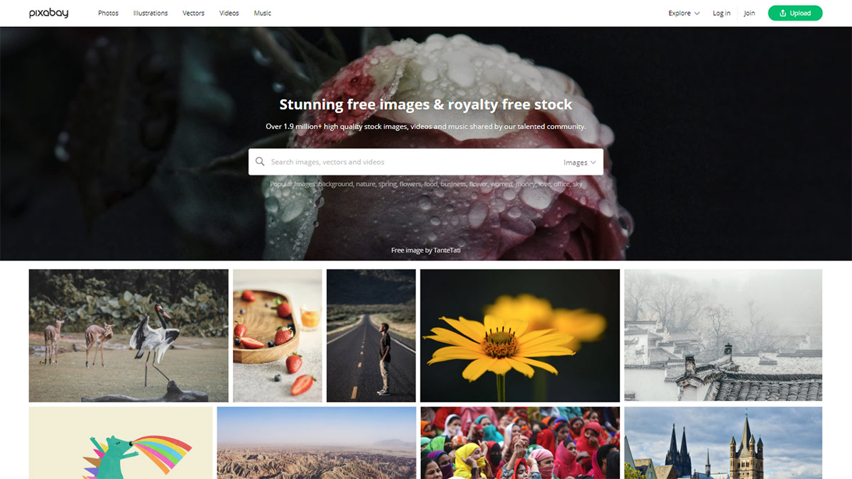 Wildlife reference photos for artists. Best Free Image Resources For Artists In 2022