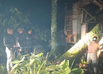 Pohon Tumbang Timpa Rumah Warga