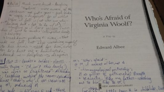 The Thunderclap Series #9: Who's Afraid of Virginia Woolf? - R. A. Nelson