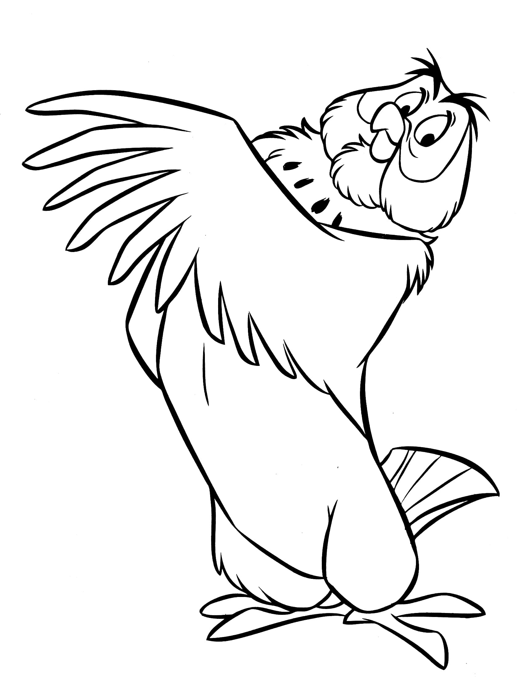 In addition to stuffed animals, disney licensed numerous cookie jars. Owl Coloring Pages 100 Birds Of Prey Pictures For Free