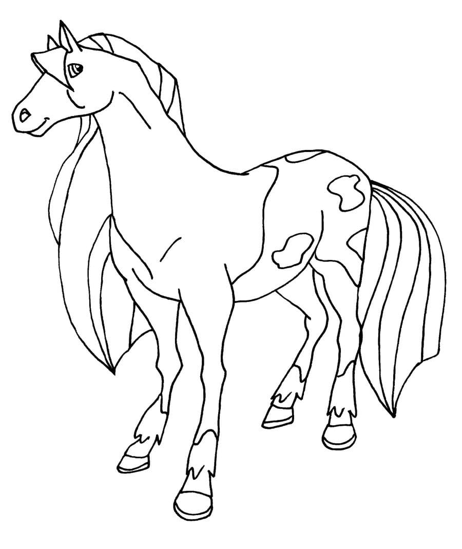Calypso cards publishes and distributes a wide variety of greeting cards,. Horseland Coloring Pages 90 Pictures Free Printable