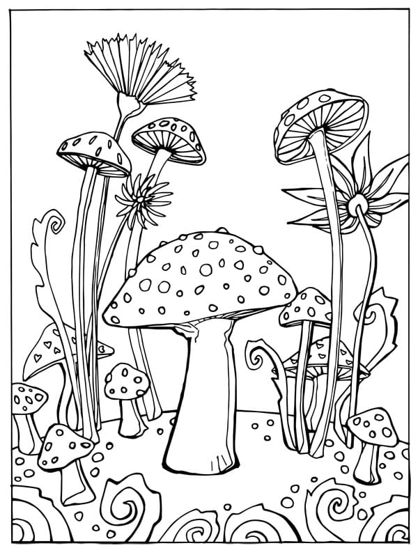 mushrooms coloring pages