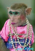 Meskipun beberapa orang menyangka foto bunga itu seperti dipoles. Tebak Tebakan Raybosca S Blog