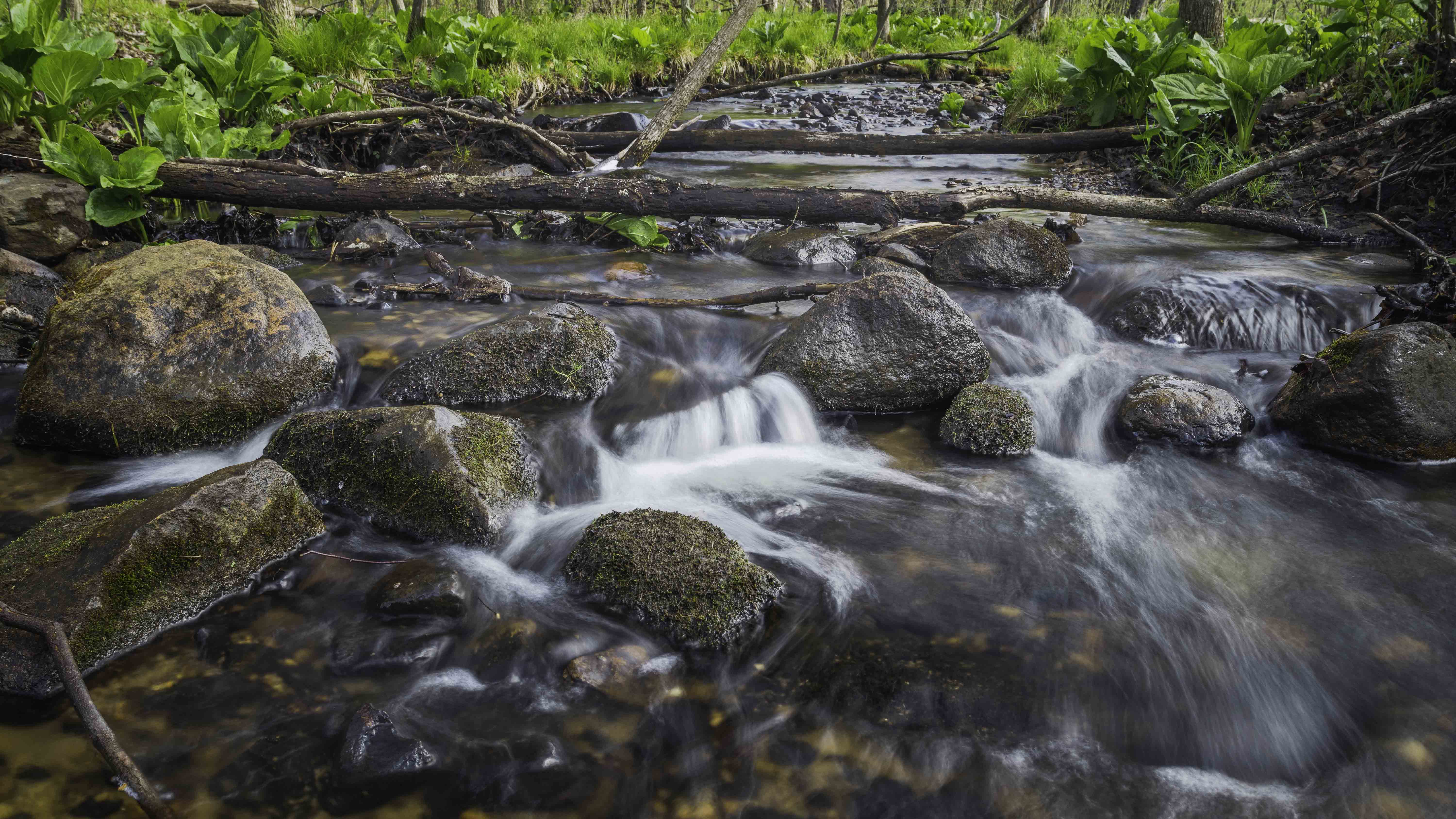A Spring Morning along Honey Creek Photography by Rodney Martin