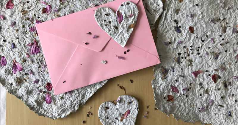 Fabriquer Une Carte À Planter - Carte A Planter Un Diy Original