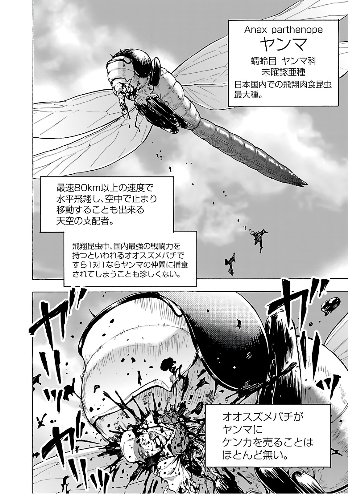 巨蟲列島 1-6巻 大巨蟲列島 1-14巻 巨蟲山脈