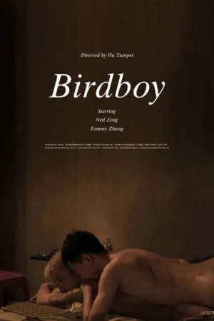 Birdboy