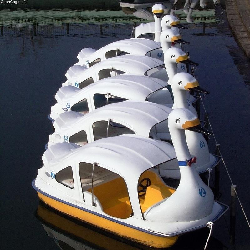 船を使ったイベント