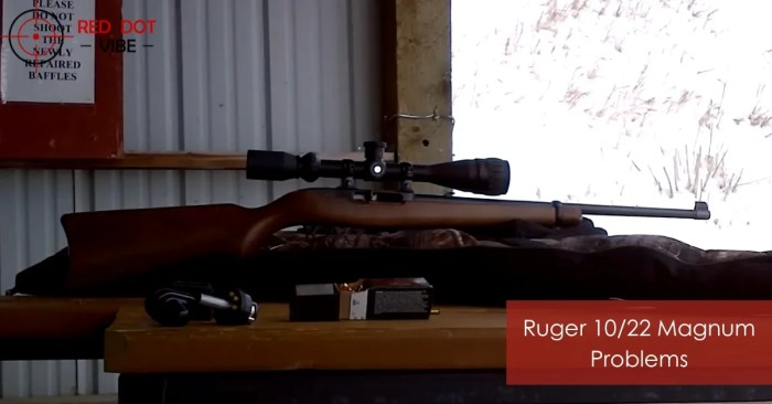 Ruger Ruger