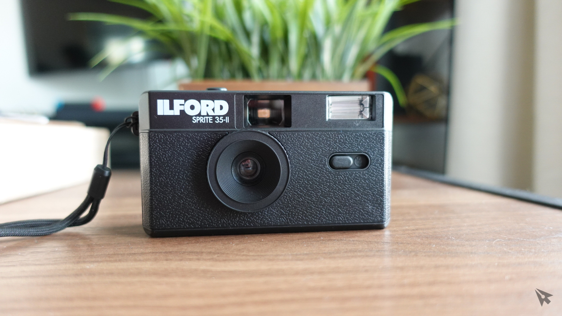 Best 35mm Film Cameras for Beginners — Rediscover Analog