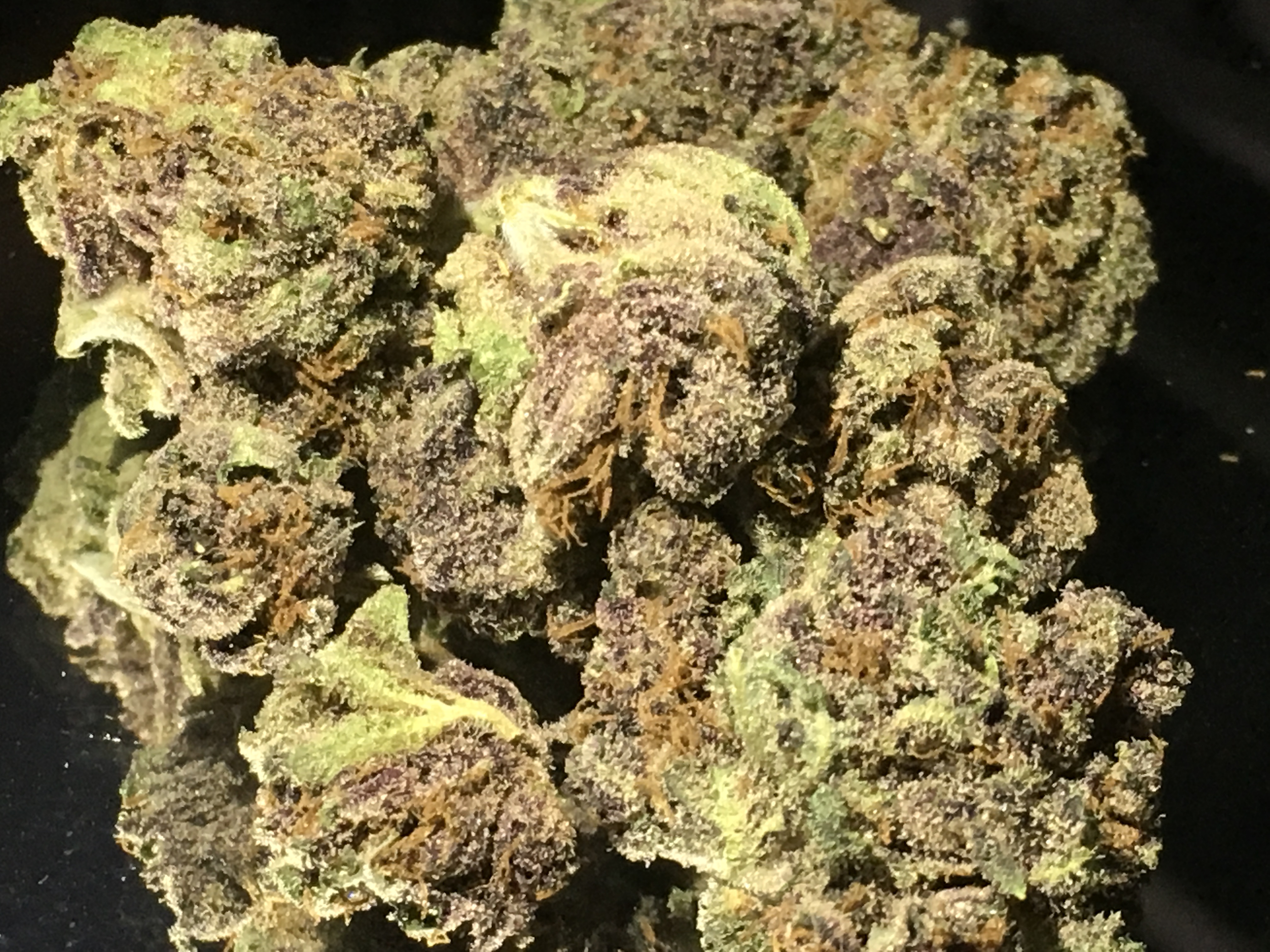 A Review of Cold Creek Kush - Releaf Media