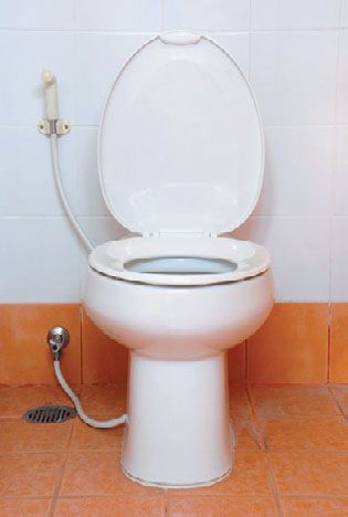 Самый простой способ совместить унитаз и биде — подвести душевой шланг