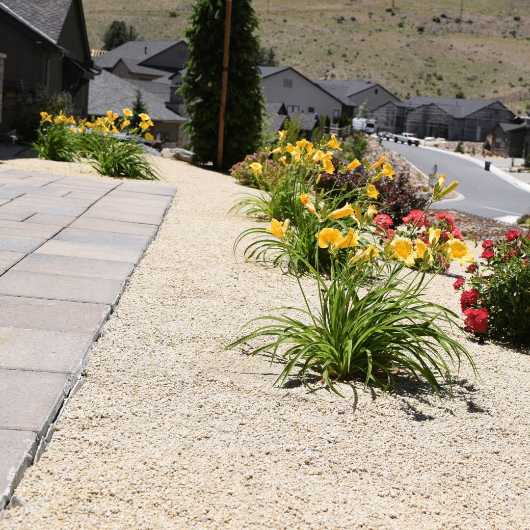 Cutout plants for garden design or landscaping. Landscape Near Me Fernley Reno Green Landscaping