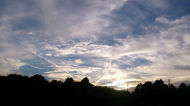 収穫と男心と秋の空。